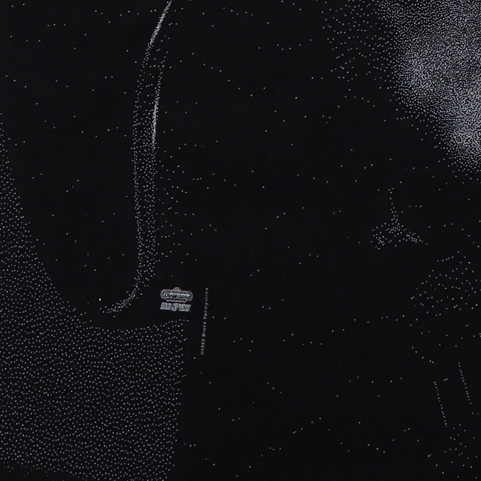 1992 Bruce Springsteen Shirt