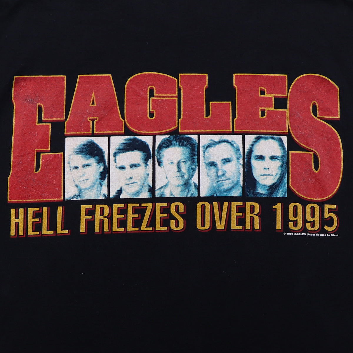 1995 Eagles Hell Freezes Over World Tour Shirt | Authentic Vintage