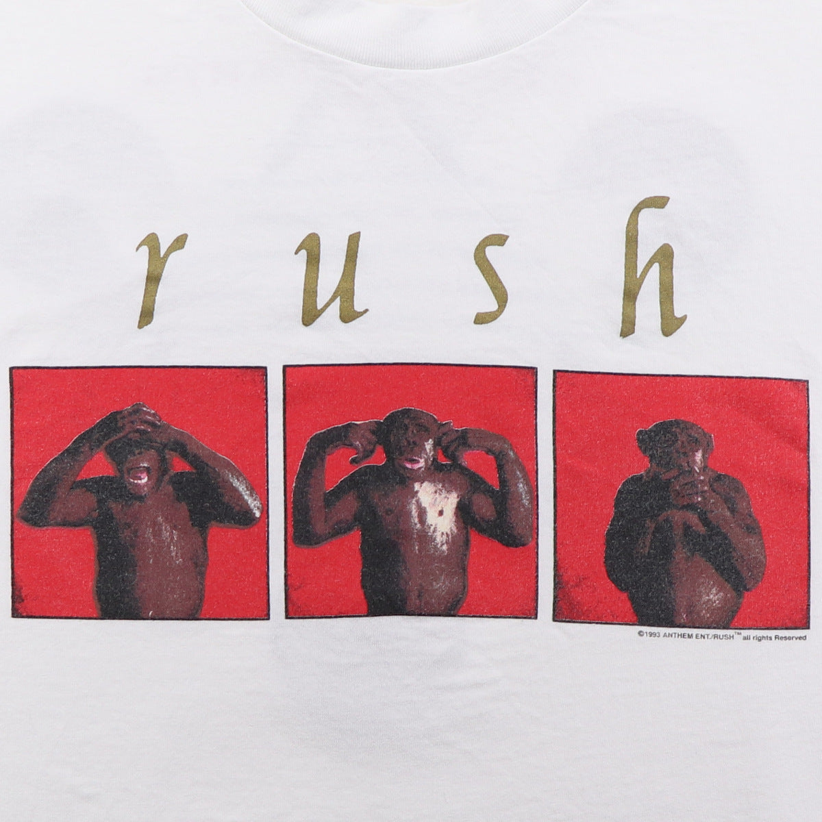 rush ツアーtシャツ　FADE is BEAUTIFＵＬ Amazon.com: Rush US Tour Neil Peart Geddy Lee Alex Lifeson