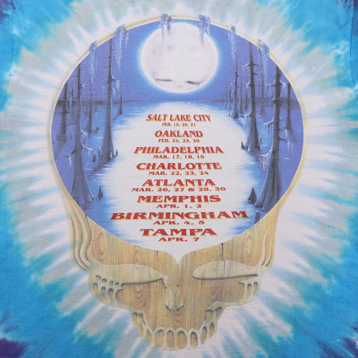 1995 Grateful Dead Zydeadco Tour Liquid Blue Tie Dye Shirt – WyCo
