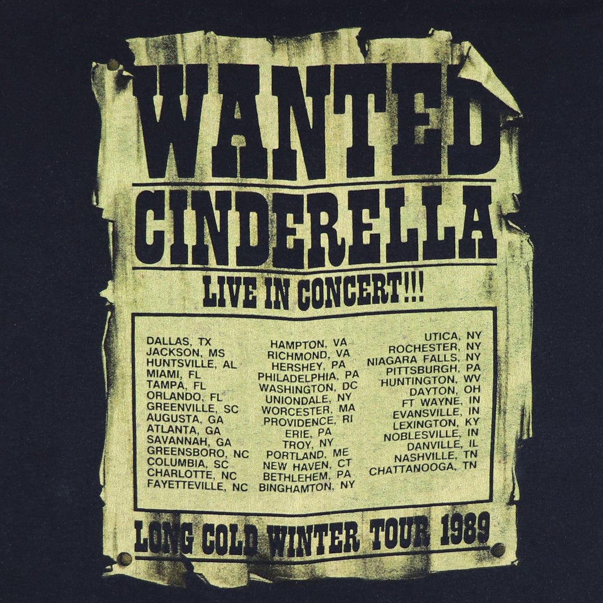 1989 Cinderella Long Cold Winter Tour Shirt | Authentic Vintage