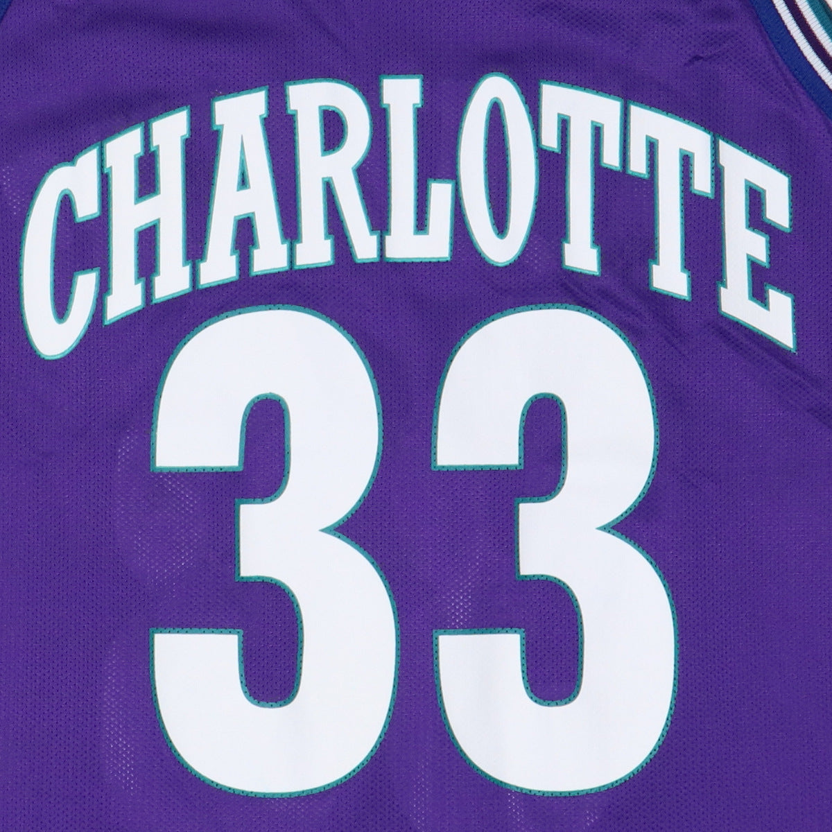 Wyco Vintage 1990s Larry Johnson Charlotte Hornets Basketball Jersey