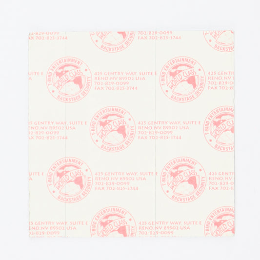 1991 Luther Vandross Power Of Love Tour Guest Pass