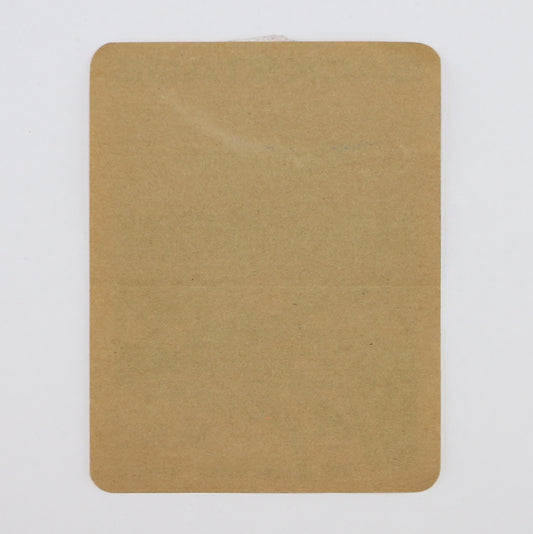 1981 Pat Travers Rainbow Krokus Backstage Pass