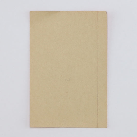 1980 Bruce Springsteen The River Tour Backstage Pass